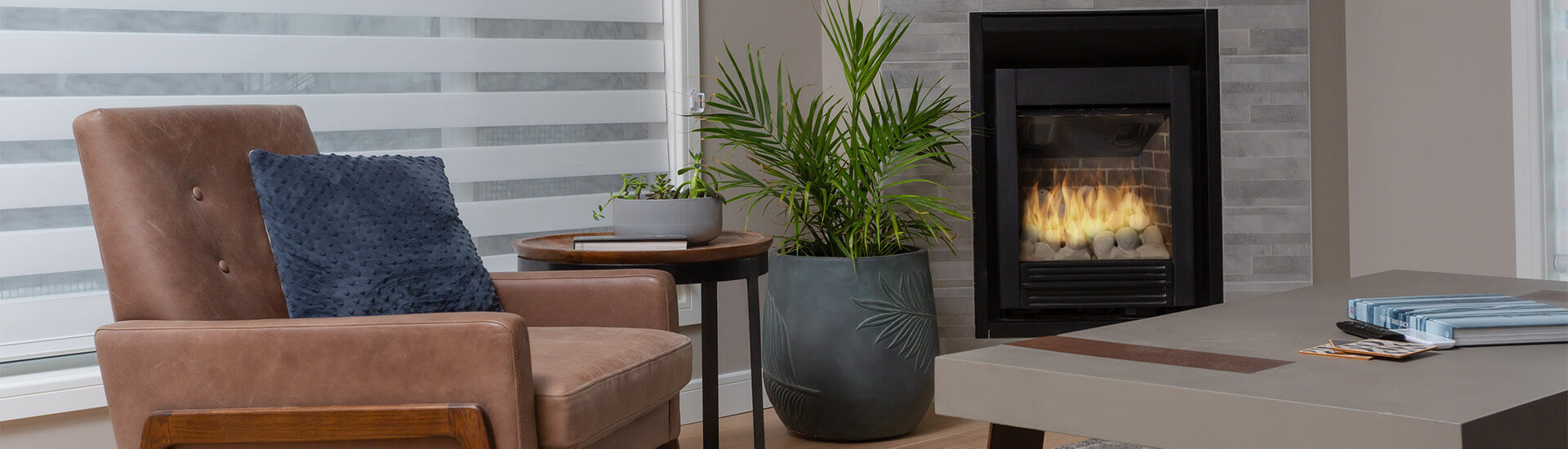 zebra shades in living room of home
