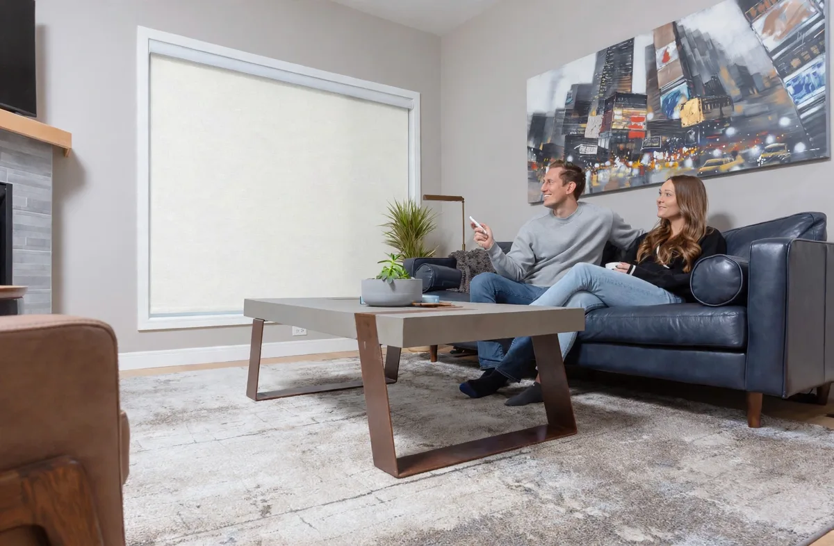 Light Filtering Fabric Roller Shades - Most popular living room